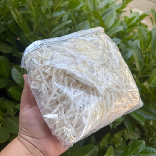 1 kilogram (2.2 lbs) Dentalium