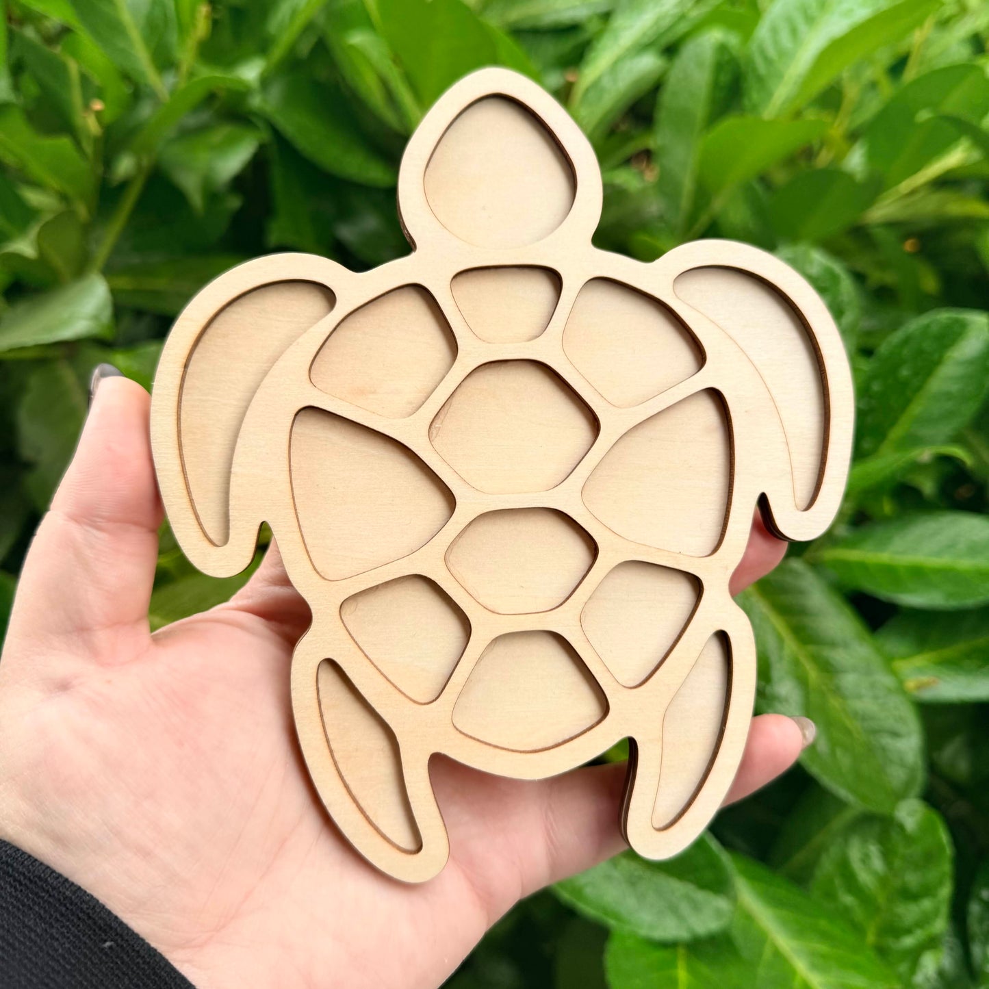 Turtle Mini Wood Bead Board